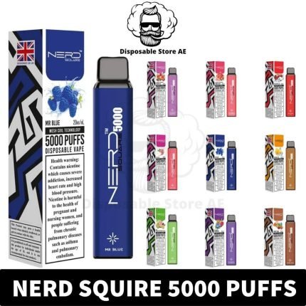 Best Nerd Square 5000 Puffs 1400mAh Disposable Vape Dubai