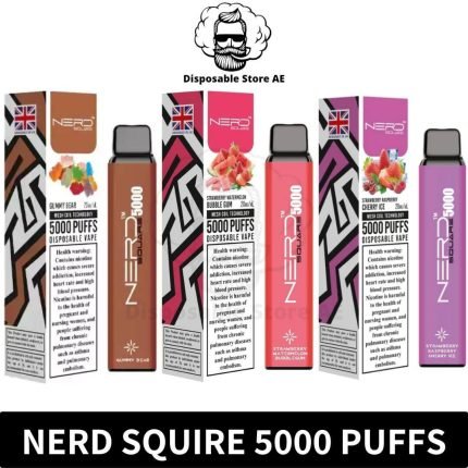 Best Nerd Square 5000 Puffs 1400mAh Disposable Vape Dubai