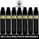 Buy HEY LOLA 4500 Puffs Disposable 10ml 20mg Rechargeable Vape in Abu Dhabi, UAE - HEY LOLA Disposable Buy in Dubai 1.2 ohm Near Me