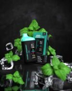 BLVK BAR 20000 Puffs Price in Dubai DOUBLE SPEARMINT