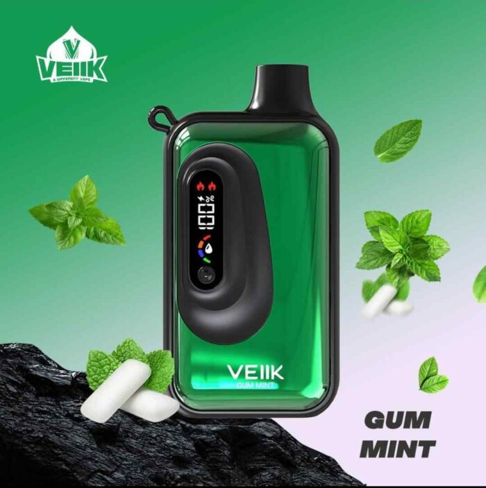 VEIIK SPACE VKK 20000 Puffs Price in Dubai GUM MINT