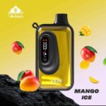 VEIIK SPACE VKK 20000 Puffs Price in Dubai MANGO ICE