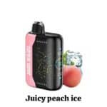 GEEK BAR PULSE X 25000 Puffs Price in Dubai JUICY PEACH ICE