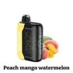 GEEK BAR PULSE X 25000 Puffs Price in Dubai PEACH MANGO WATERMELON