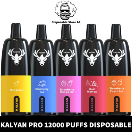 KALYAN Pro 12000 Puffs