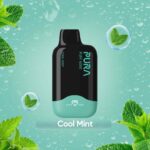 PURA 6000 Disposable 20MG Rechargeable Vape Price in Dubai Cool Mint