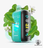 ELF BAR RAYA D3 25000 Puffs Price in Dubai APINE MINT