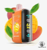 ELF BAR RAYA D3 25000 Puffs Price in Dubai DOUBLE MANGO