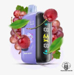 ELF BAR RAYA D3 25000 Puffs Price in Dubai GRAPE CHERRY