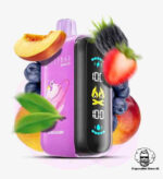 ELF BAR RAYA D3 25000 Puffs Price in Dubai PEACH BERRY