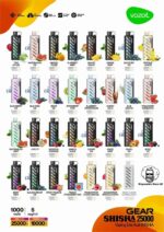 VOZOL GEAR SHISHA 25000 Puffs Price in UAE