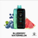 TESLA BAR XT 40000 PUFFS BLUEBERRY WATERMELON