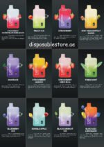 NERD FIRE 10000 PUFFS Vape