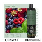 TESYI ULTRA SHISHA 35000 PUFFS BERRY MINT
