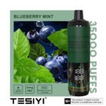 TESYI ULTRA SHISHA 35000 PUFFS BLUEBERRY MINT