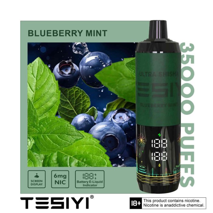 TESYI ULTRA SHISHA 35000 PUFFS BLUEBERRY MINT
