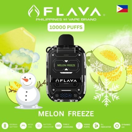 Flava Nimmbox 10000 Puffs MELON FREEZE