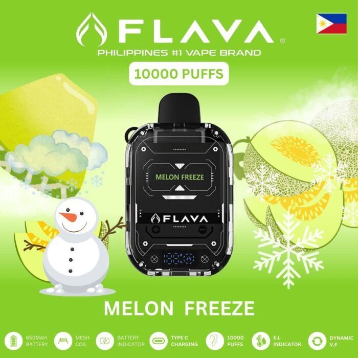 Flava Nimmbox 10000 Puffs MELON FREEZE