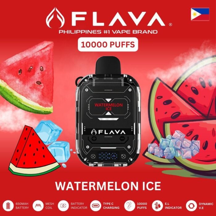 Flava Nimmbox 10000 Puffs WATERMELON ICE