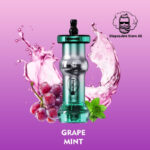 Mosmo Sultan 50000 Puffs DTL 0.3 Nicotine Hookah Disposable Grape Mint