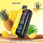 OXBAR TRI Fusion 45000 Puffs Pineapple Mango Watermelon