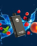 Waka Blade 50000 Puffs Disposable Vape Blueberry Ice