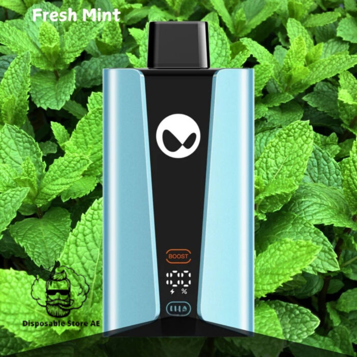 Waka SoPro 20000 Puffs 50mg Nicotine Fresh Mint