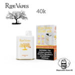 Ripe Vapes IVORY 20MG and 50MG 40000 Puffs Disposable Vape Mango Oasis Ice